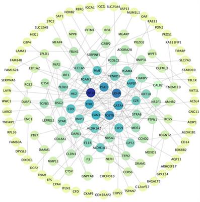 Identification of functional TF-miRNA-hub gene regulatory network associated with ovarian endometriosis